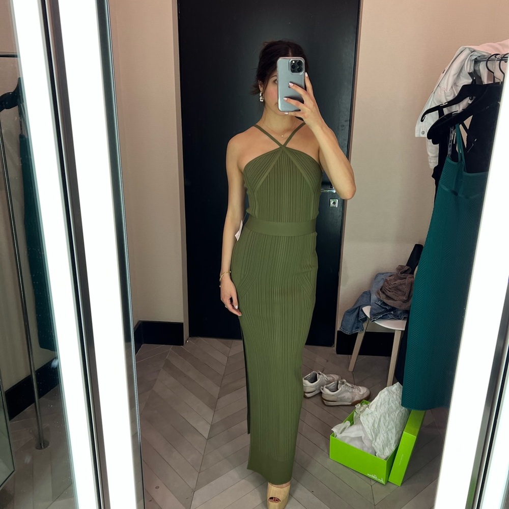Herve Ledger Gown / dress